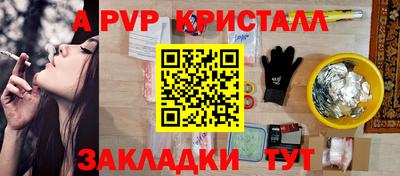 стафф Гусев
