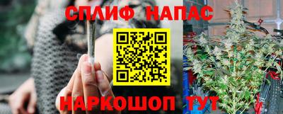 стафф Гусев