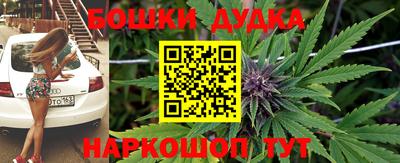 стафф Гусев