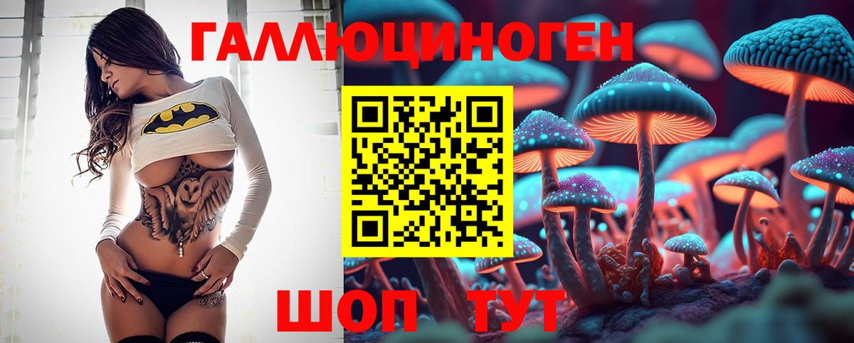 Галлюциногенные грибы GOLDEN TEACHER Моздок