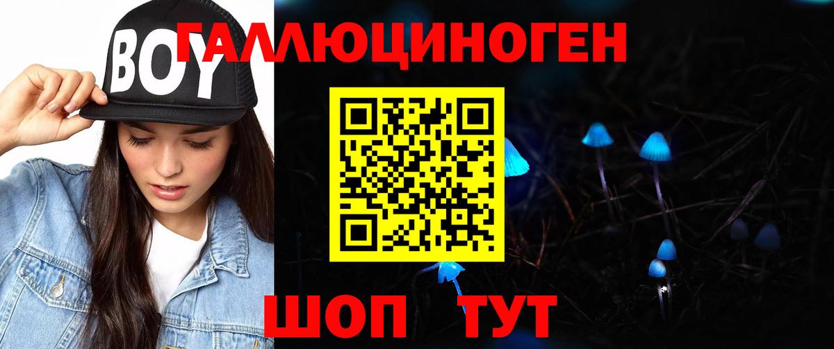 Моздок  Псилоцибиновые грибы мицелий  Вход с VPN  Галлюциногенные грибы прущие грибы 